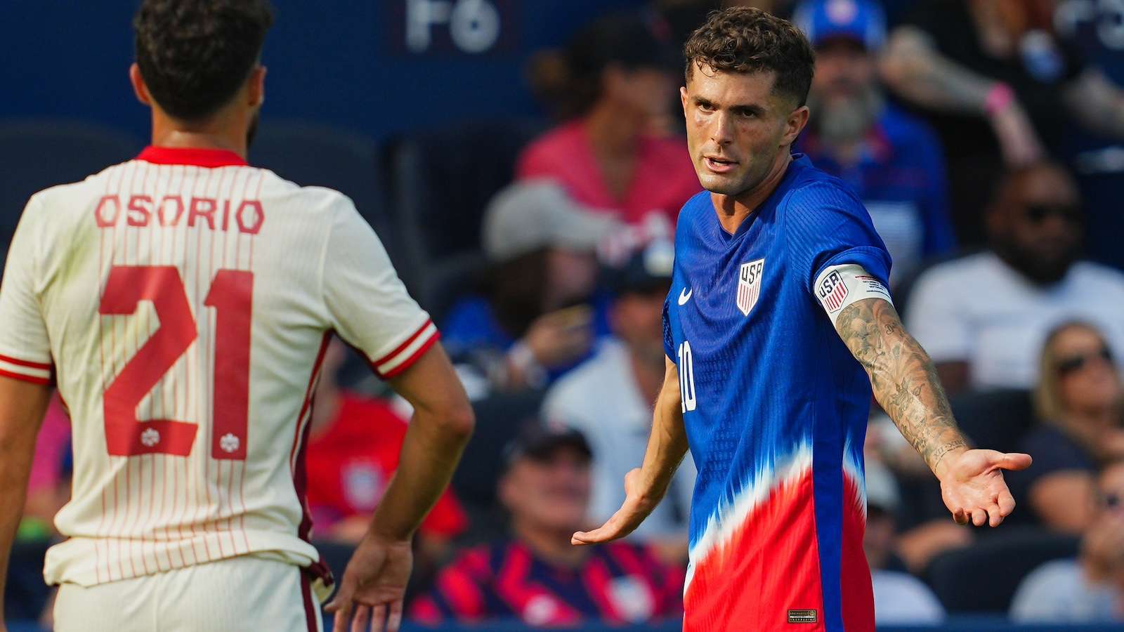 如果他选择 如果他选择