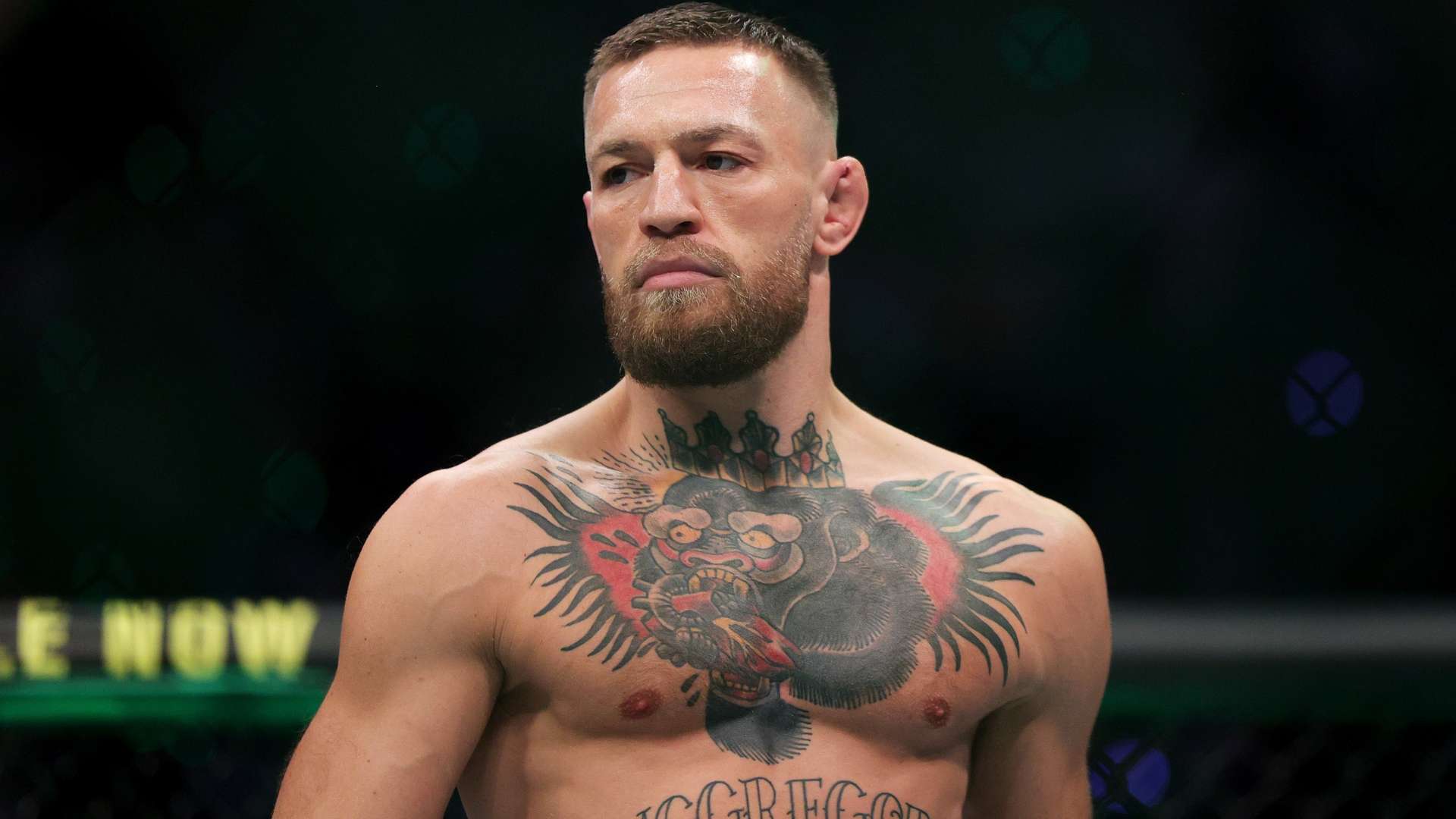 丰富的老将 丰富的老将